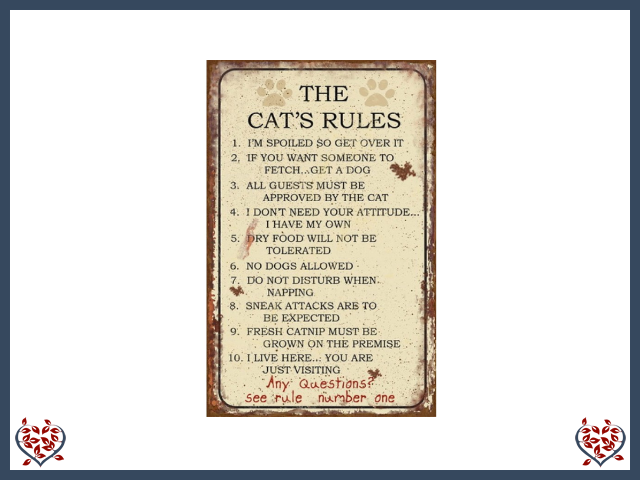 CAT'S RULES ~ WOODEN SIGN |  Wall Decor