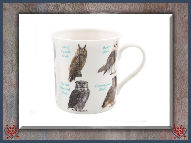 OWLS MUG | Mugs