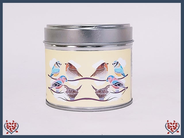 SOY WAX CANDLE ~ COTTON | Home Fragrance