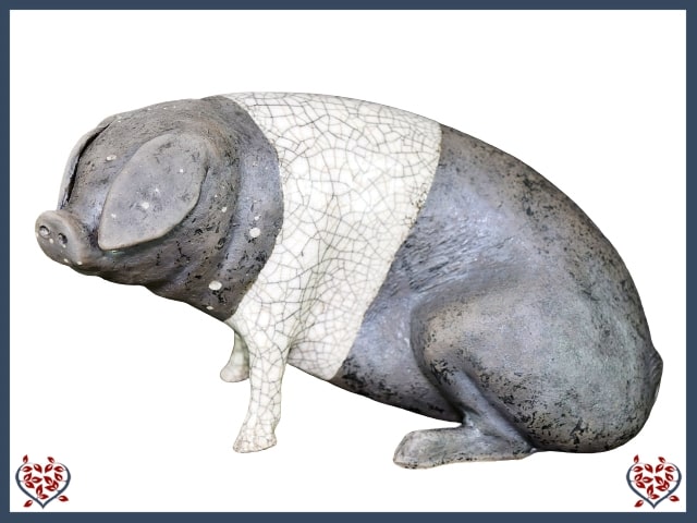 SADDLEBACK PIG | Paul Jenkins Sculpture