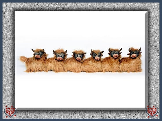 ANGUS SENIOR DRAUGHT EXCLUDER | Doorstops & Draught Excluders