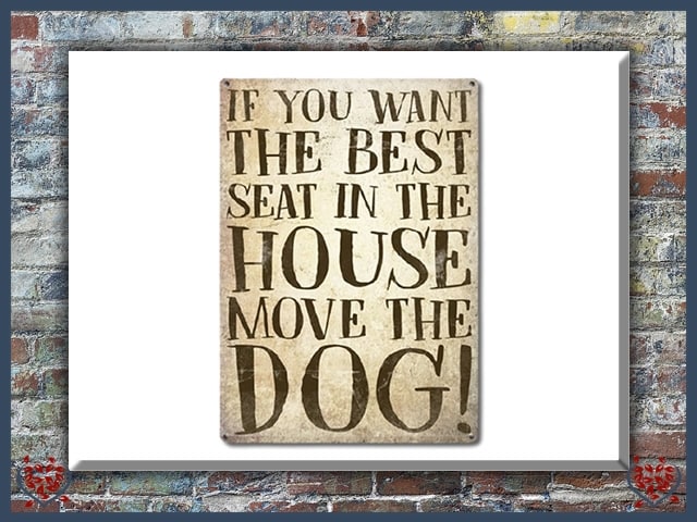 IF YOU WANT THE BEST SEAT MOVE THE DOG ~ METAL SIGN |  Wall Decor