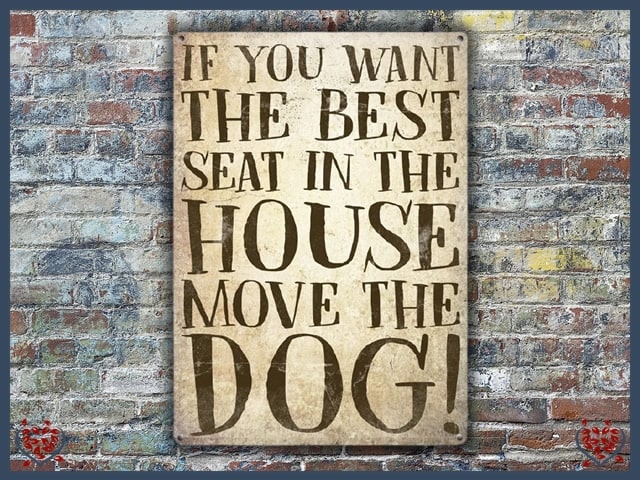 IF YOU WANT THE BEST SEAT MOVE THE DOG ~ METAL SIGN |  Wall Decor