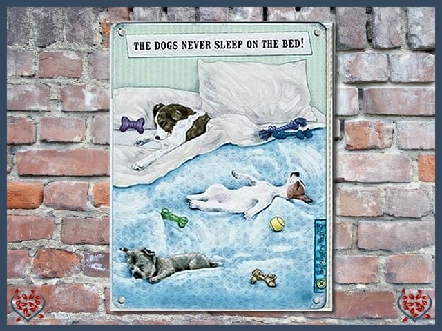 THE DOG NEVER SLEEPS ON THE BED ~ METAL SIGN | Wall Decor